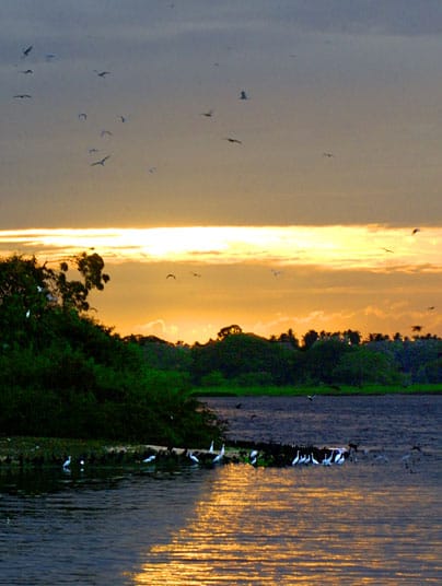 Bundala National Park destinations