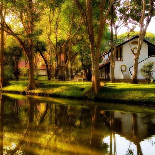Cinnamon Lodge