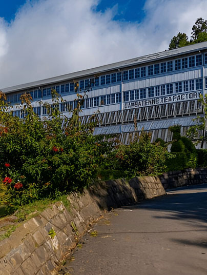 Dambatenna Tea Factorydestinations