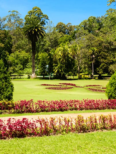 Hakgala Botanical Gardens destinations