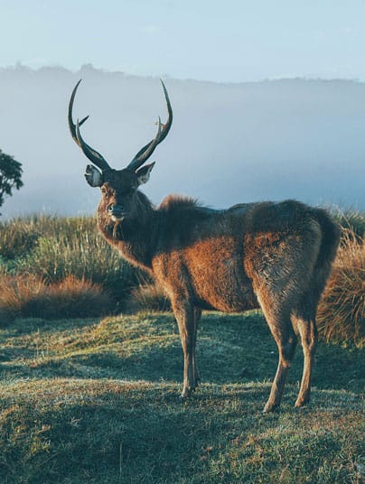 Horton Plain National Park destinations