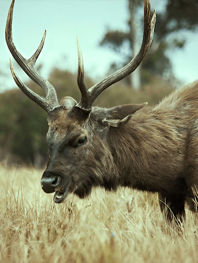 Horton Plains destinations