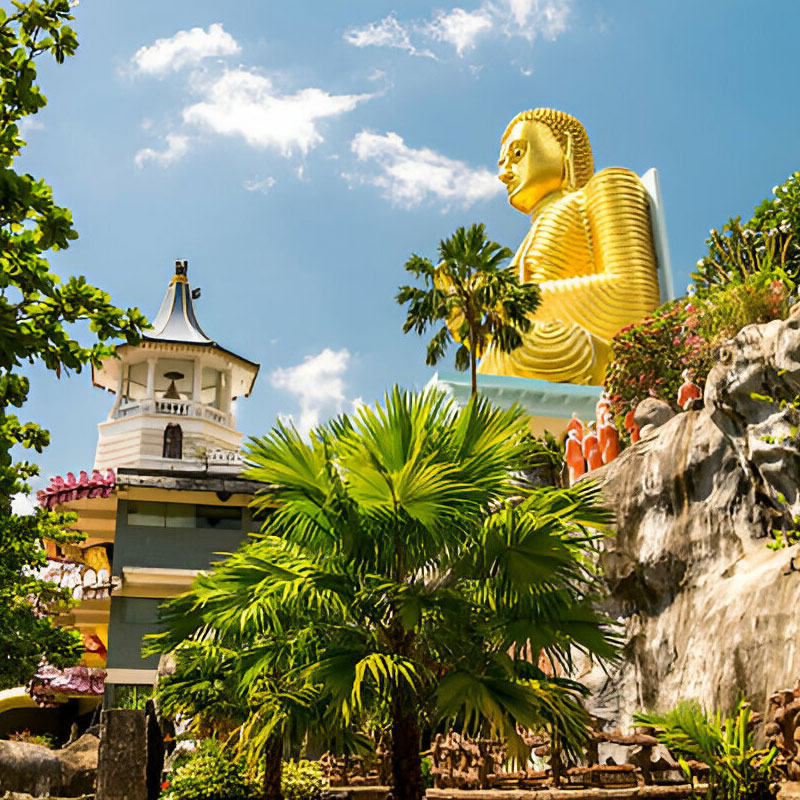 Sunbird lanka Tours Dambulla