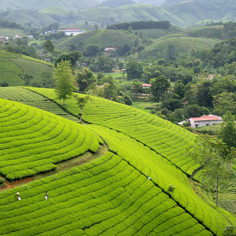 Sunbird lanka Tours Hatton