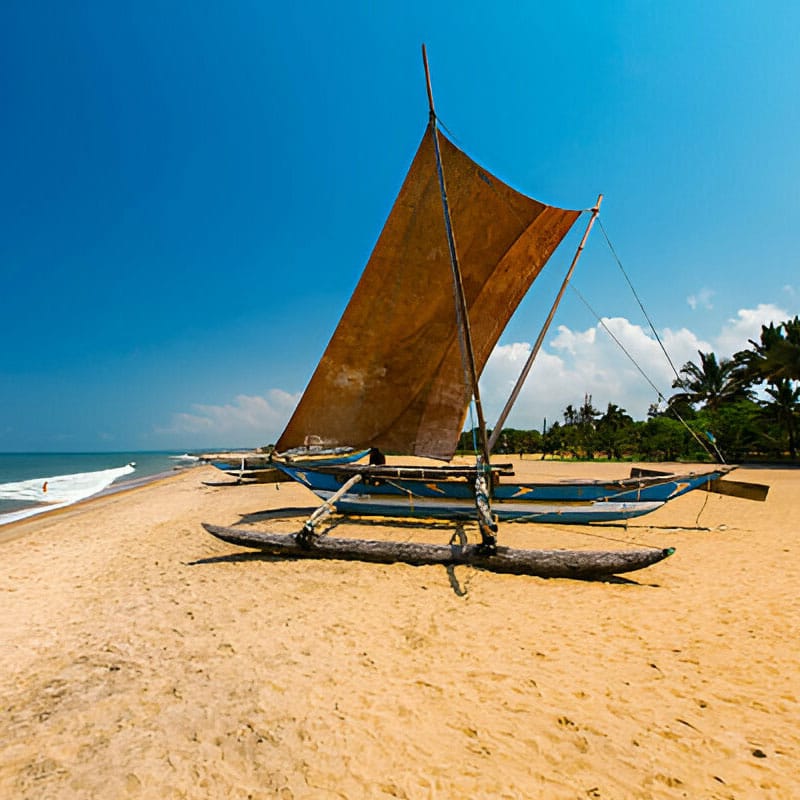 Sunbird lanka Tours Negambo
