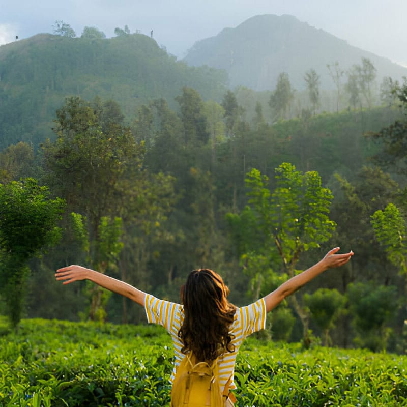 Sunbird lanka Tours Nuwara Eliya