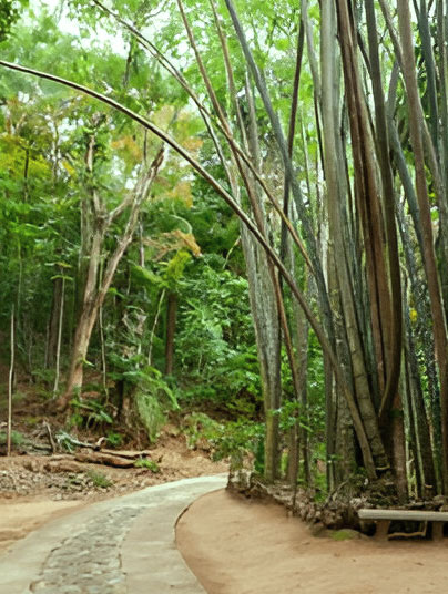 Udawattakele Forest Reserve destinations