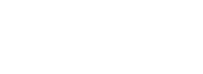 Web white logo