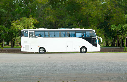 budgetbus 01