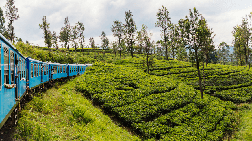 No.1 Travel Destination for 2025 01