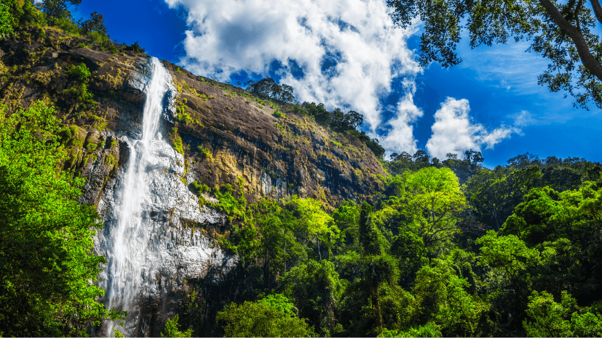 No.1 Travel Destination for 2025 02