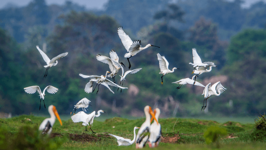 No.1 Travel Destination for 2025 04