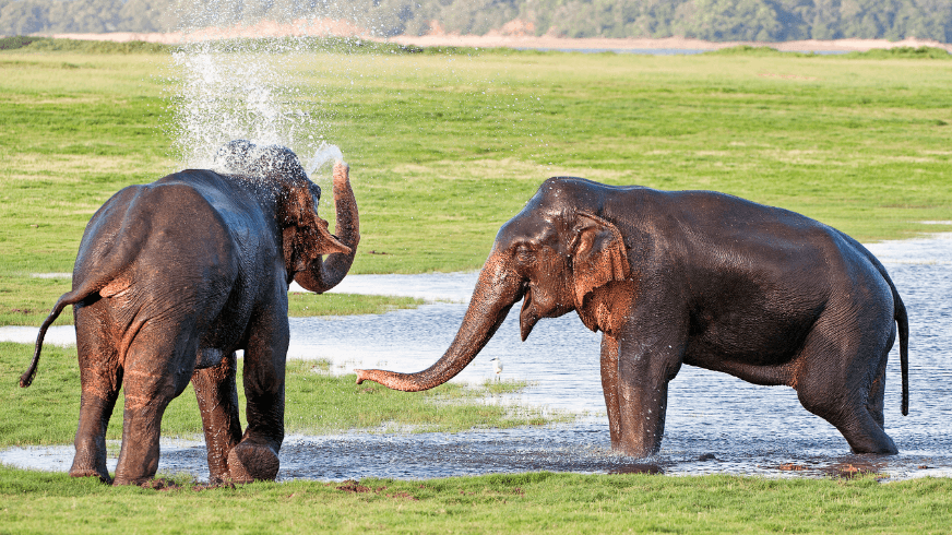 No.1 Travel Destination for 2025 05